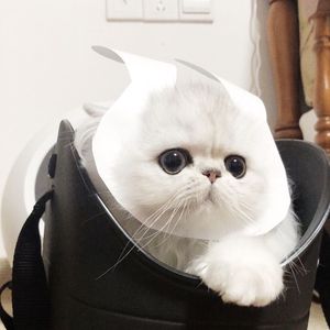 尤酸乳最新版本更新内容
